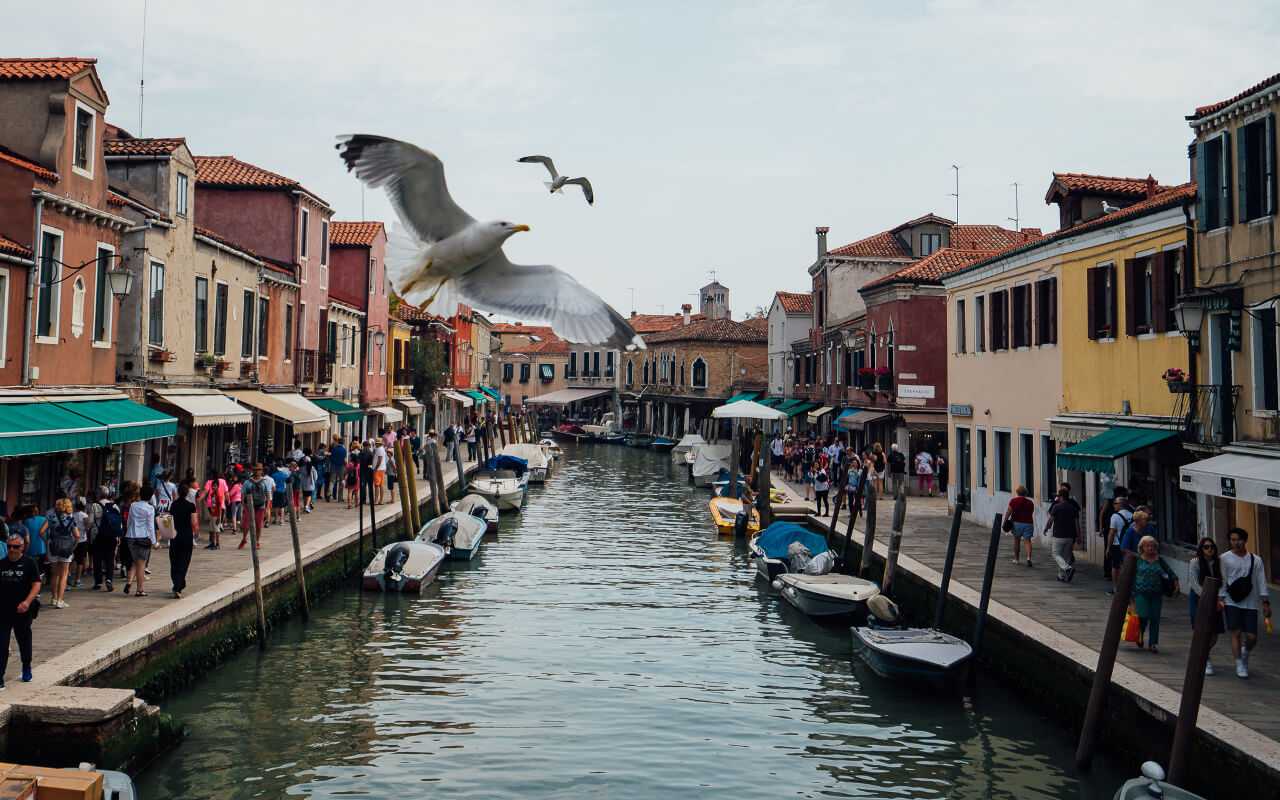 Murano ph. dave krugman