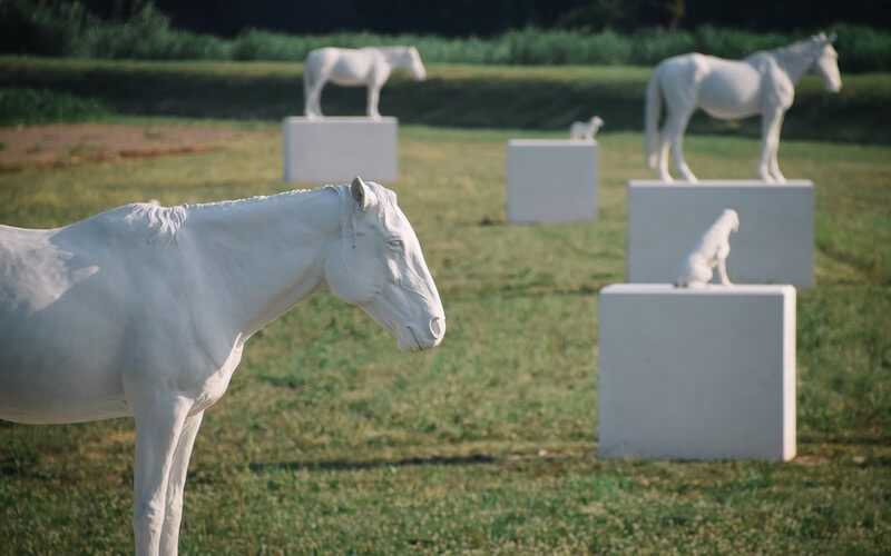 Ca' Corniani Soglia Ovest