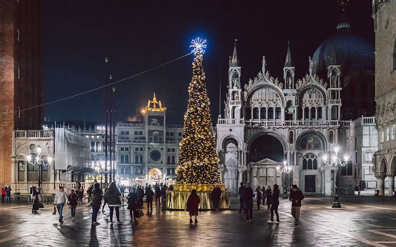 ph-settimo-cannatella-albero-sanmarco-2